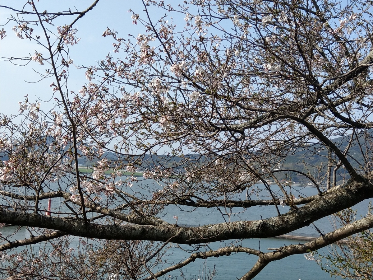 f:id:asadakeiko576:20190327181510j:plain