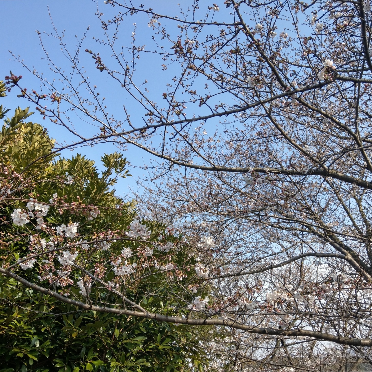 f:id:asadakeiko576:20190327181943j:plain