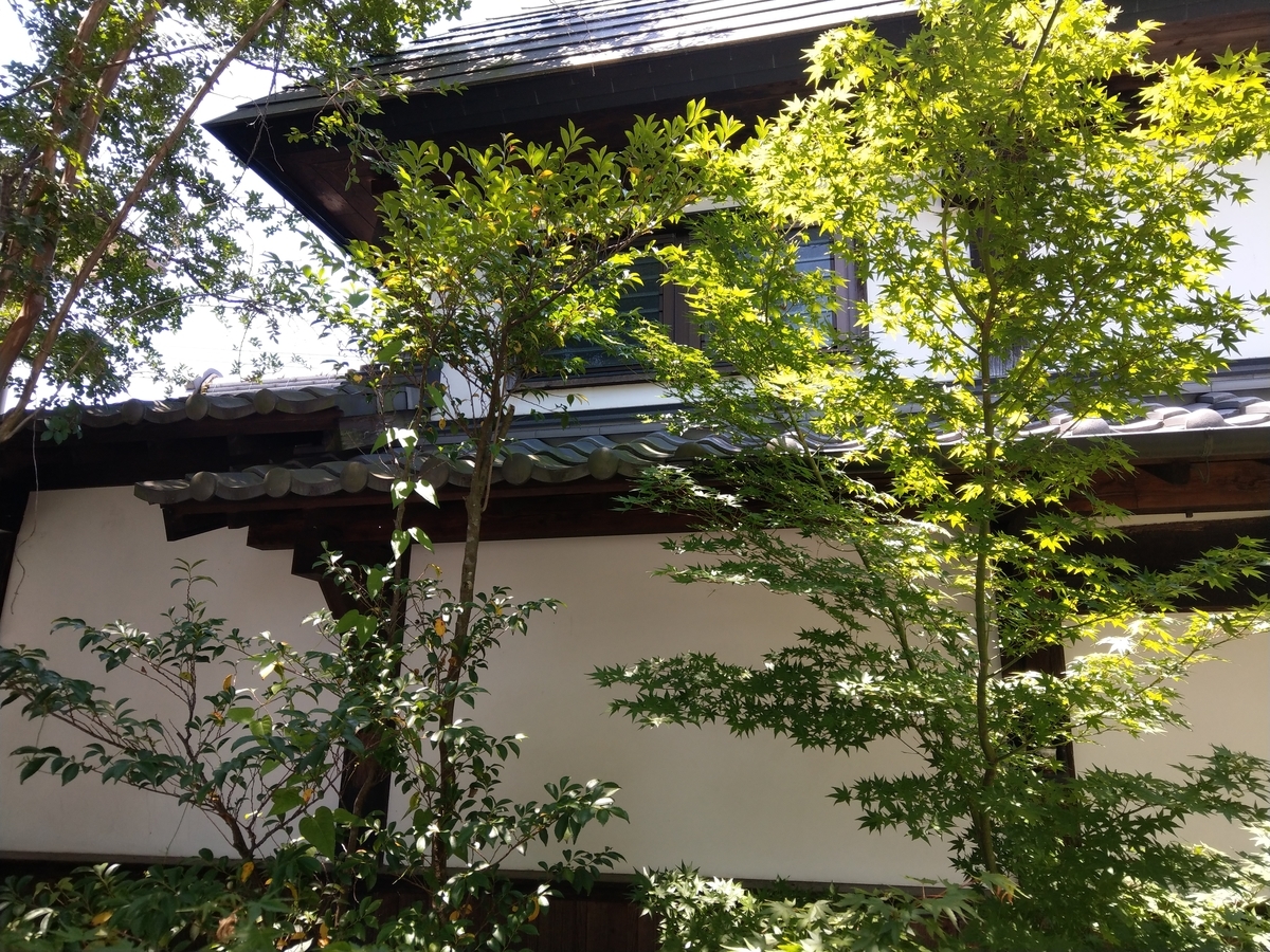 f:id:asadakeiko576:20190626161421j:plain