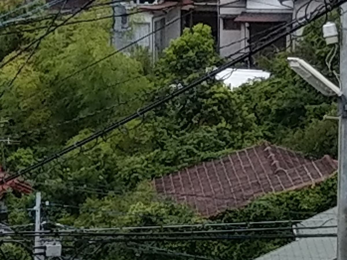 f:id:asadakeiko576:20190825182613j:plain