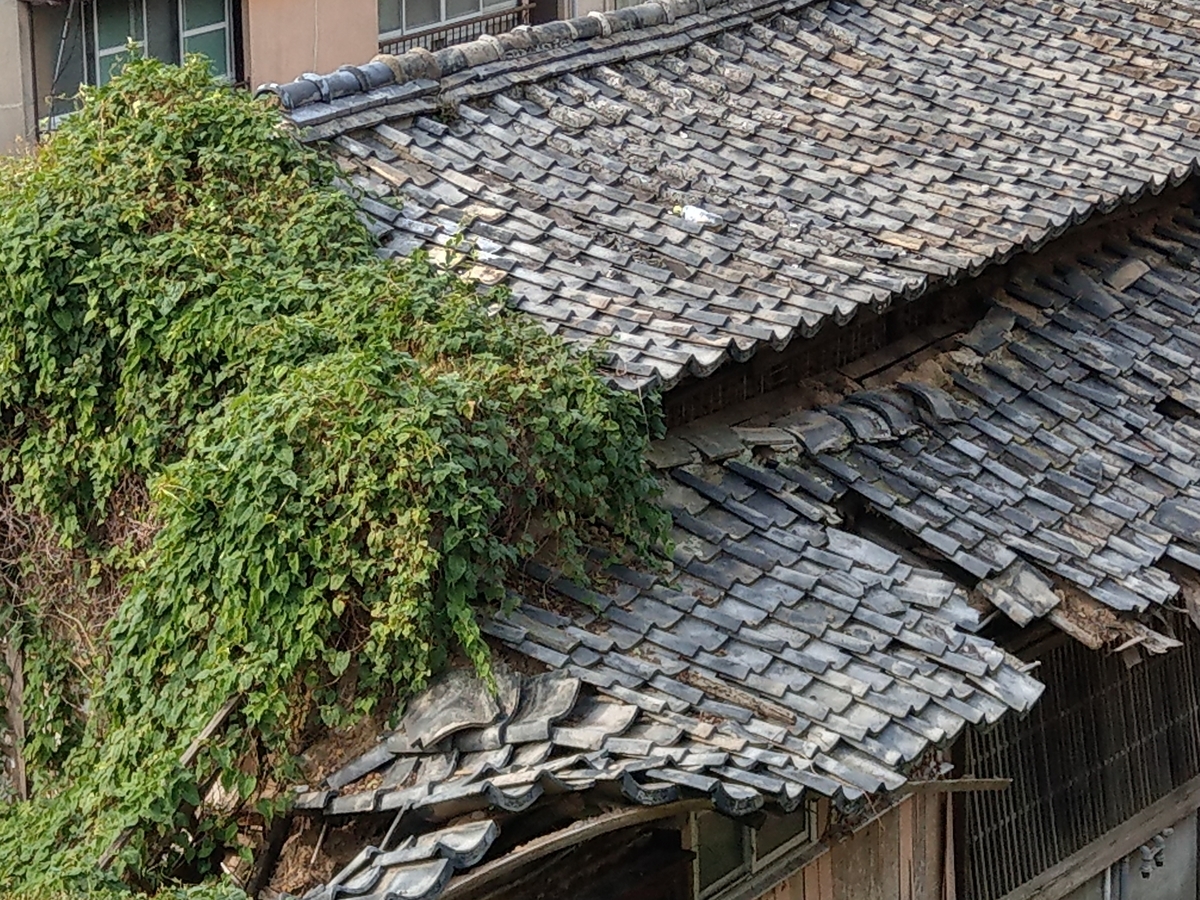 f:id:asadakeiko576:20191117194857j:plain f:id:asadakeiko576:20191117194857j:plain