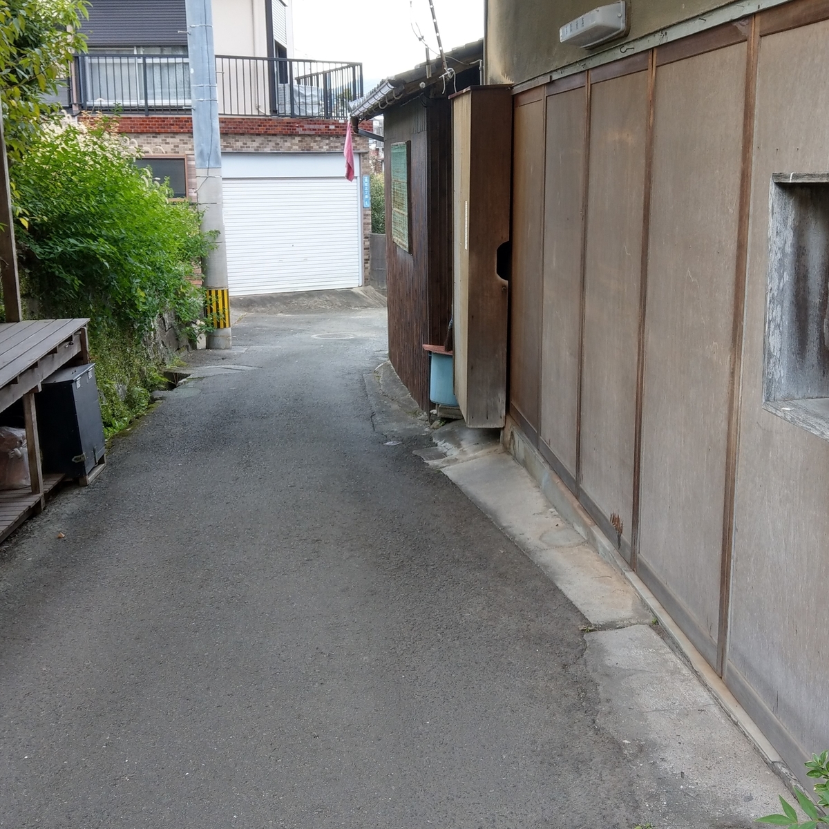 f:id:asadakeiko576:20191117195308j:plain f:id:asadakeiko576:20191117195308j:plain