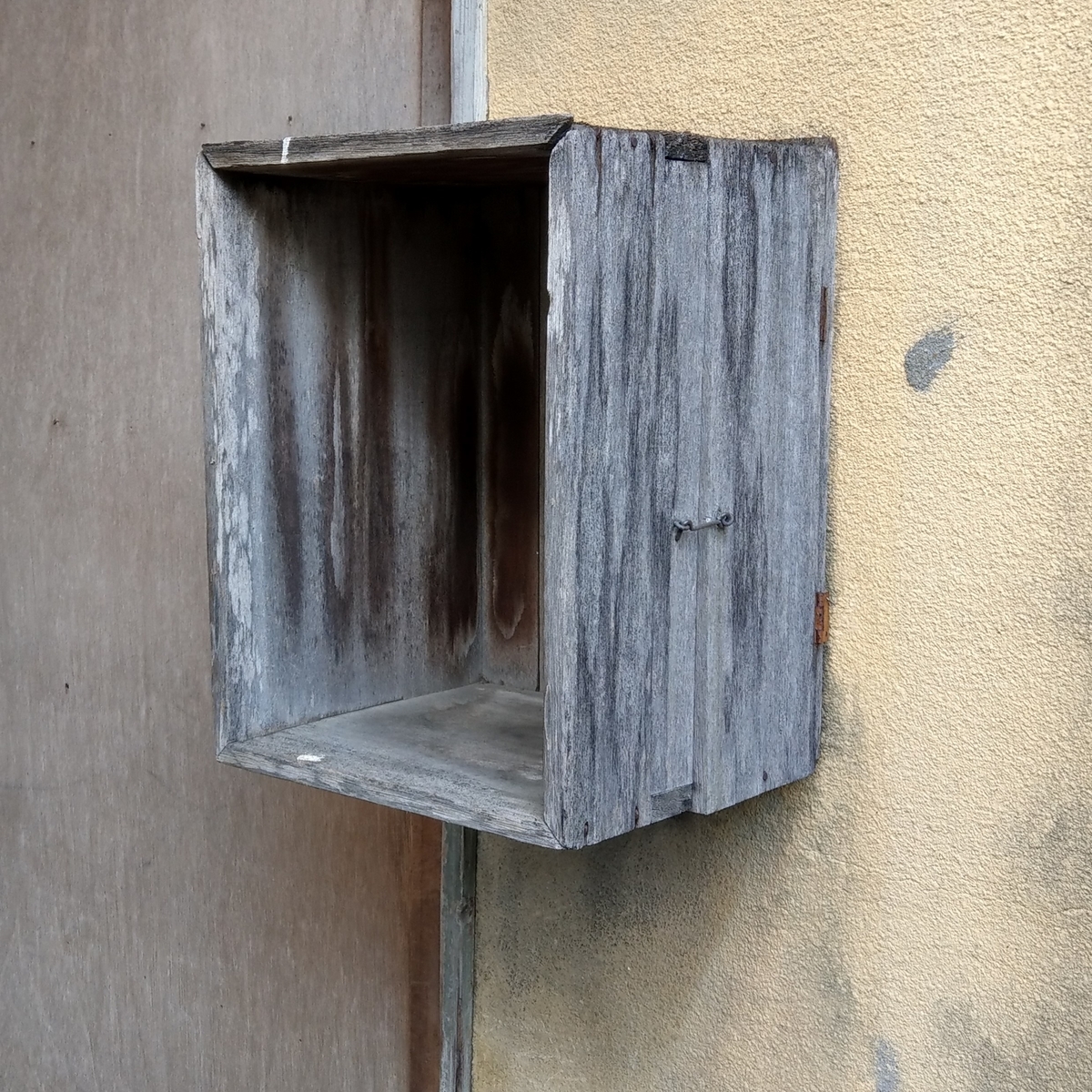 f:id:asadakeiko576:20191117195332j:plain f:id:asadakeiko576:20191117195332j:plain
