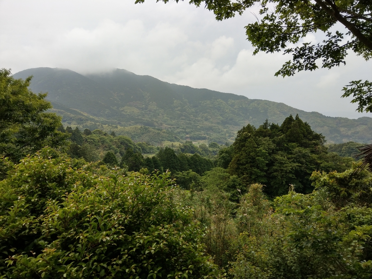 f:id:asadakeiko576:20200529173008j:plain