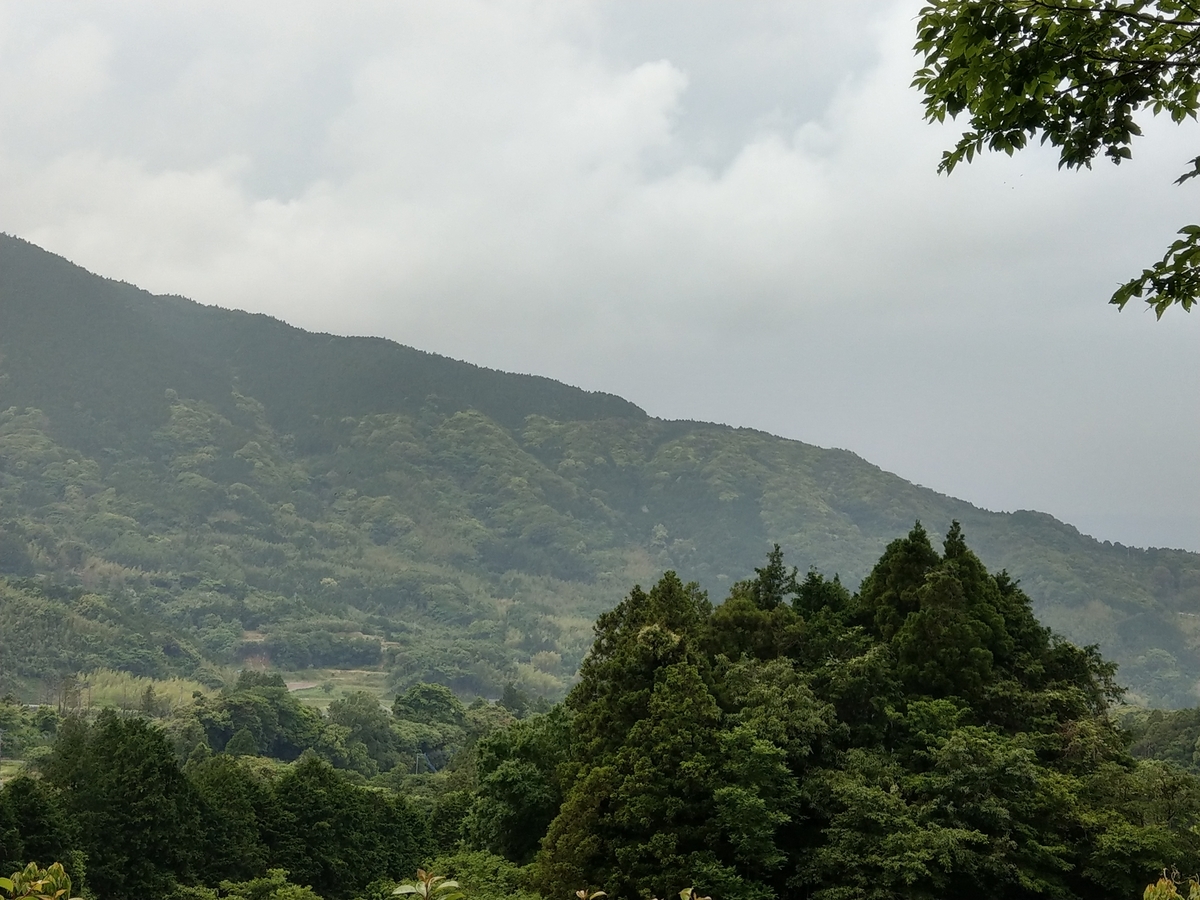 f:id:asadakeiko576:20200529204539j:plain