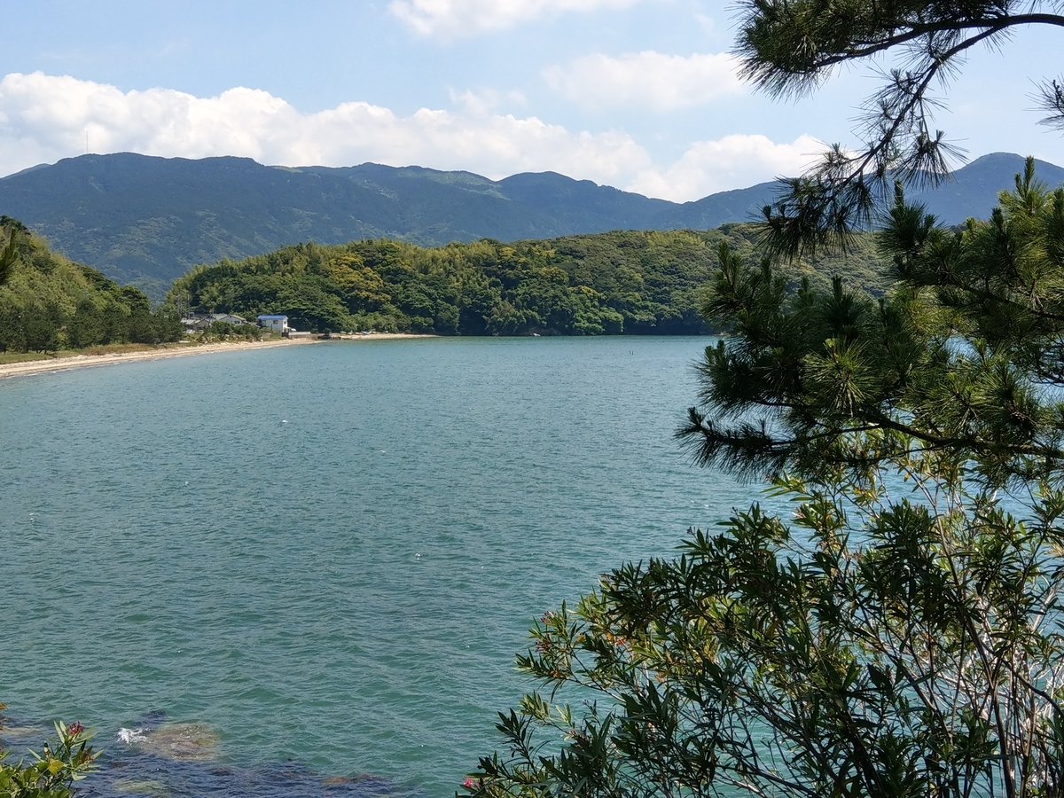 f:id:asadakeiko576:20200610222134j:plain f:id:asadakeiko576:20200610222134j:plain