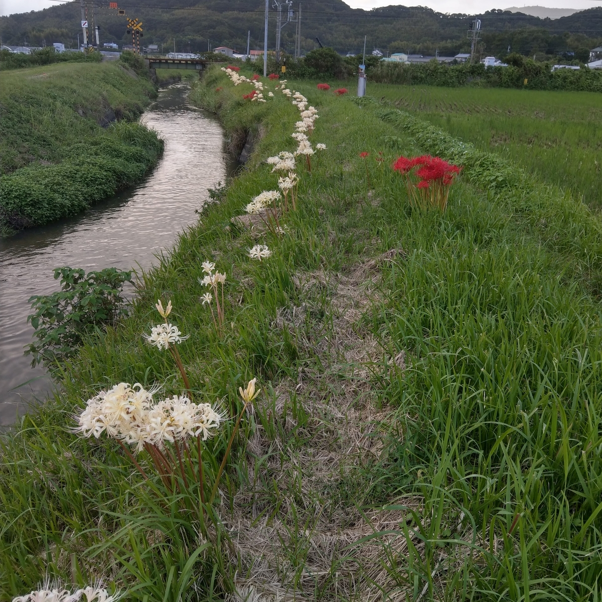 f:id:asadakeiko576:20200930202602j:plain f:id:asadakeiko576:20200930202602j:plain