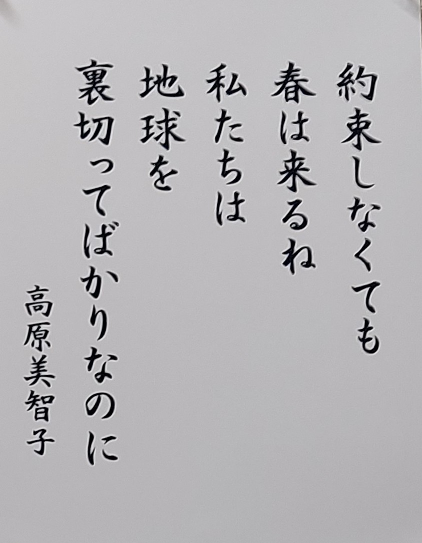 f:id:asadakeiko576:20210308215601j:plain