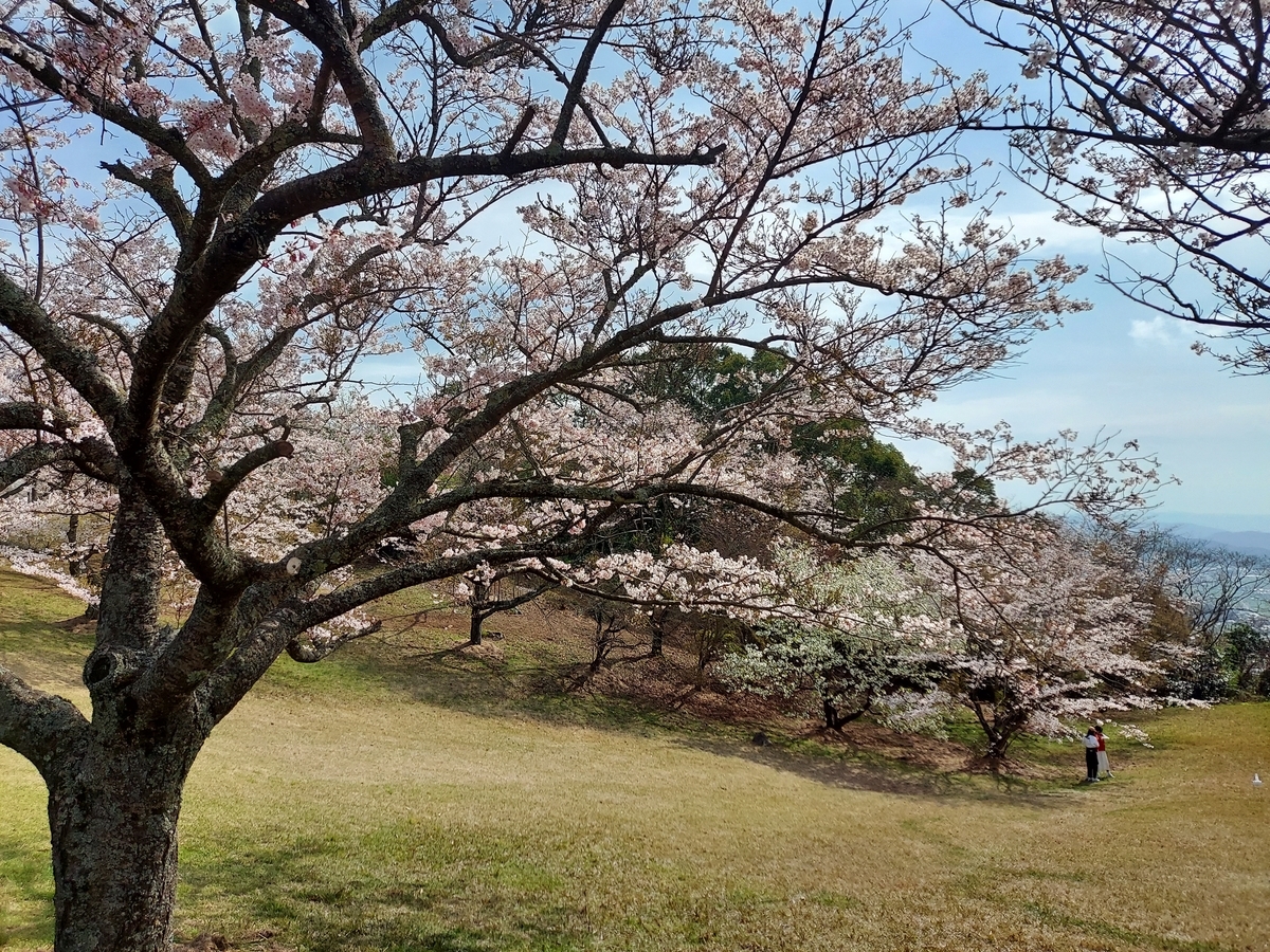 f:id:asadakeiko576:20210324192416j:plain