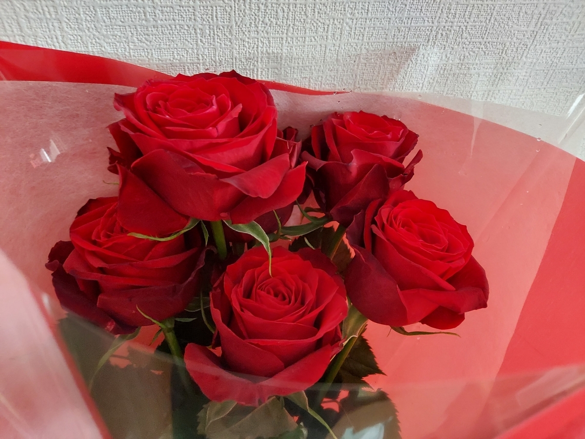 f:id:asadakeiko576:20220220170935j:plain