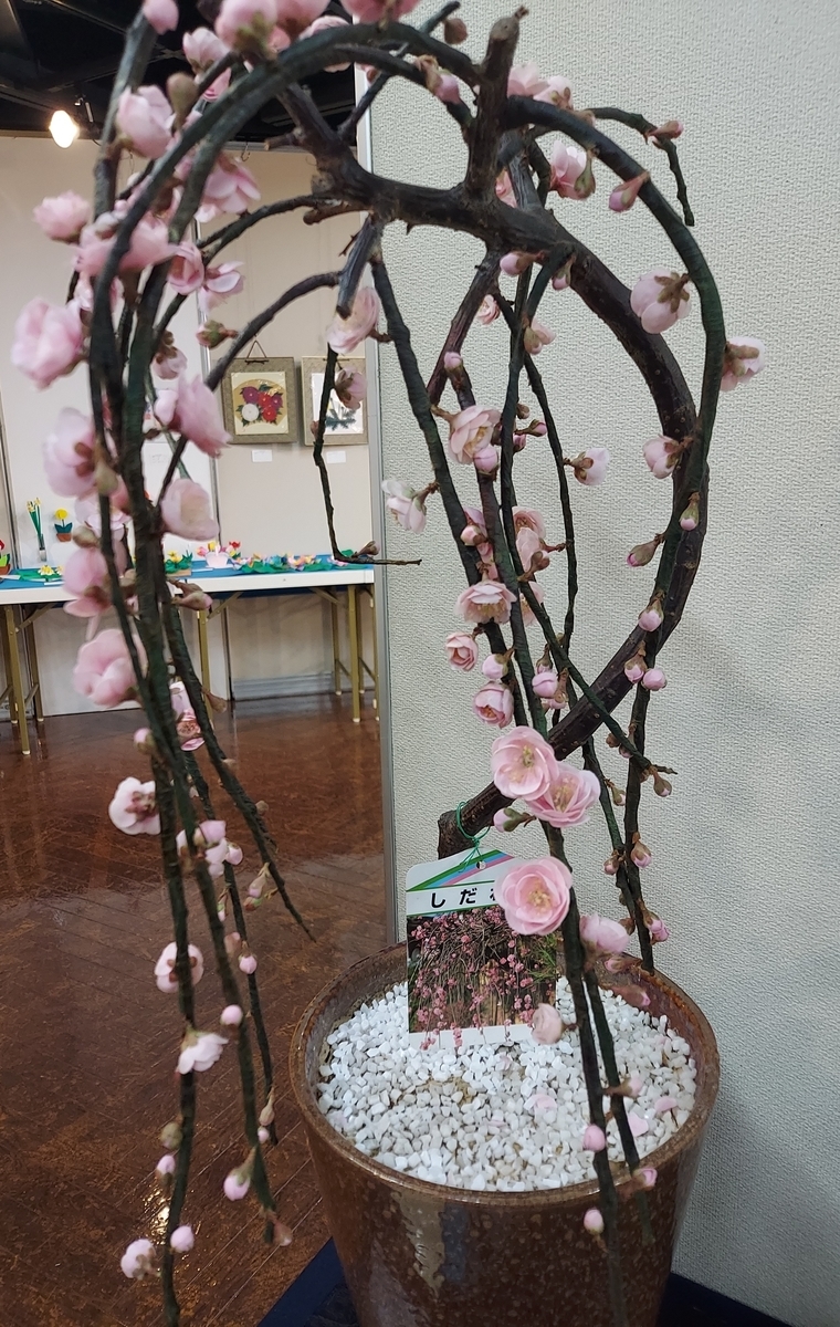 f:id:asadakeiko576:20220308010106j:plain