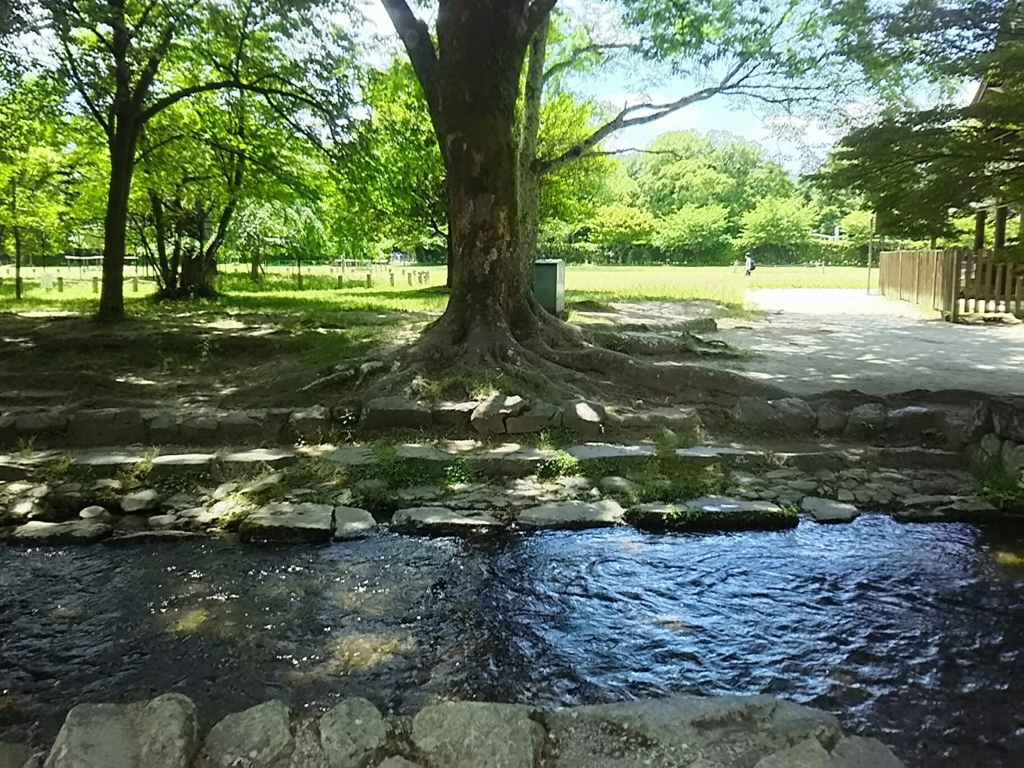 f:id:asadaseiichi1213:20170606183118j:plain f:id:asadaseiichi1213:20170606183118j:plain