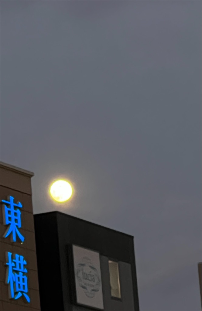 f:id:asadaseiichi1213:20230124113634j:image f:id:asadaseiichi1213:20230124113634j:image