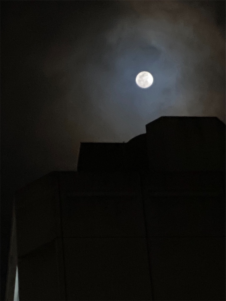 f:id:asadaseiichi1213:20230628083314j:image f:id:asadaseiichi1213:20230628083314j:image