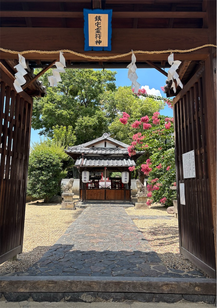 f:id:asadaseiichi1213:20250729053431j:image f:id:asadaseiichi1213:20250729053431j:image