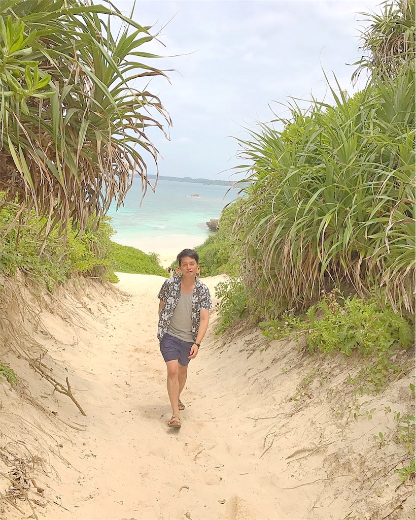 f:id:asaedashinya:20170601040718j:image