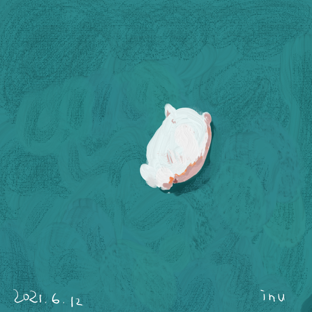 f:id:asagechang:20210612032134j:plain