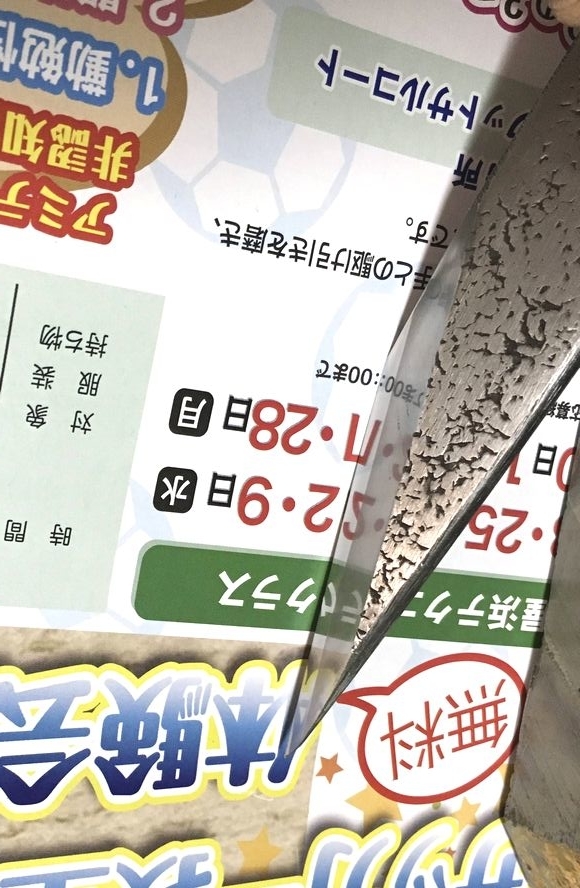 f:id:asagi-mania:20190830231000j:plain