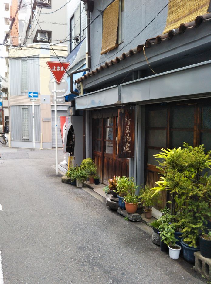 f:id:asagi-mania:20190922211619j:plain