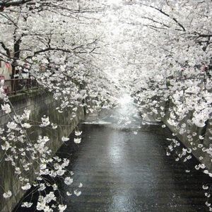 f:id:asagi_00a4ac:20090404105216j:image