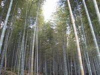 f:id:asagi_00a4ac:20120101133838j:image