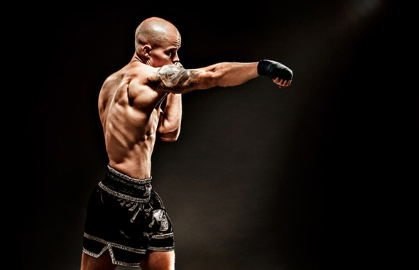 f:id:asagiglauca:20200209170502j:plain