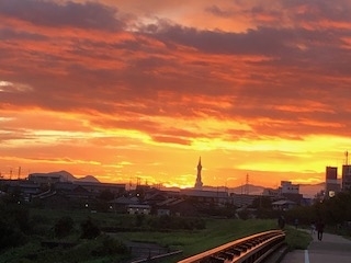 f:id:asaginodaiary:20180909095417j:plain f:id:asaginodaiary:20180909095417j:plain