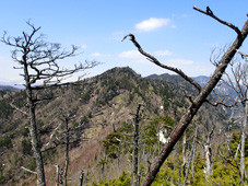f:id:asagiri33:20150425121143j:image