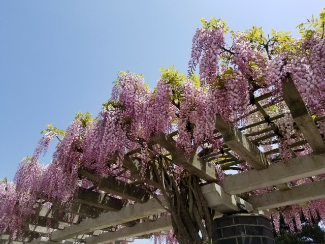 f:id:asahaasa:20180430175019j:image f:id:asahaasa:20180430175019j:image