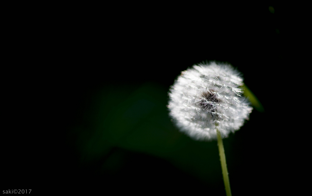 f:id:asahaka1:20170520220821j:plain