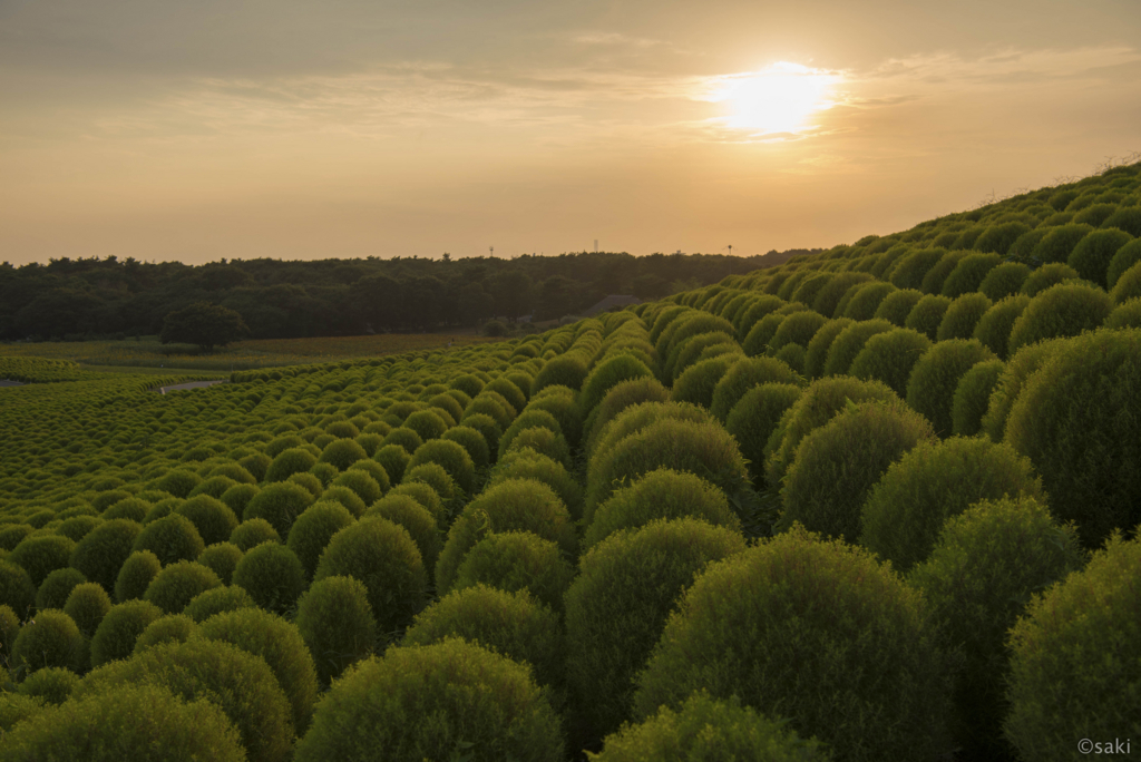 f:id:asahaka1:20170829000542j:plain