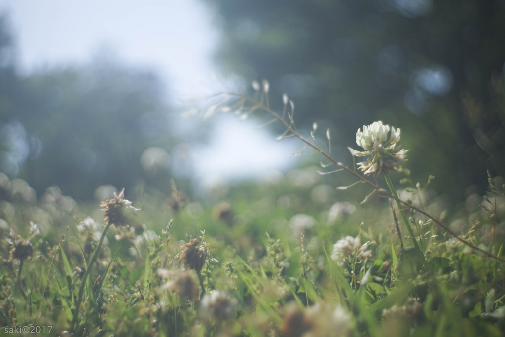 f:id:asahaka1:20171222225134j:plain f:id:asahaka1:20171222225134j:plain