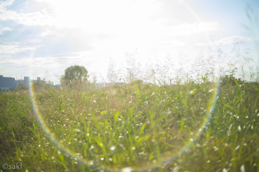 f:id:asahaka1:20171222225904j:plain f:id:asahaka1:20171222225904j:plain