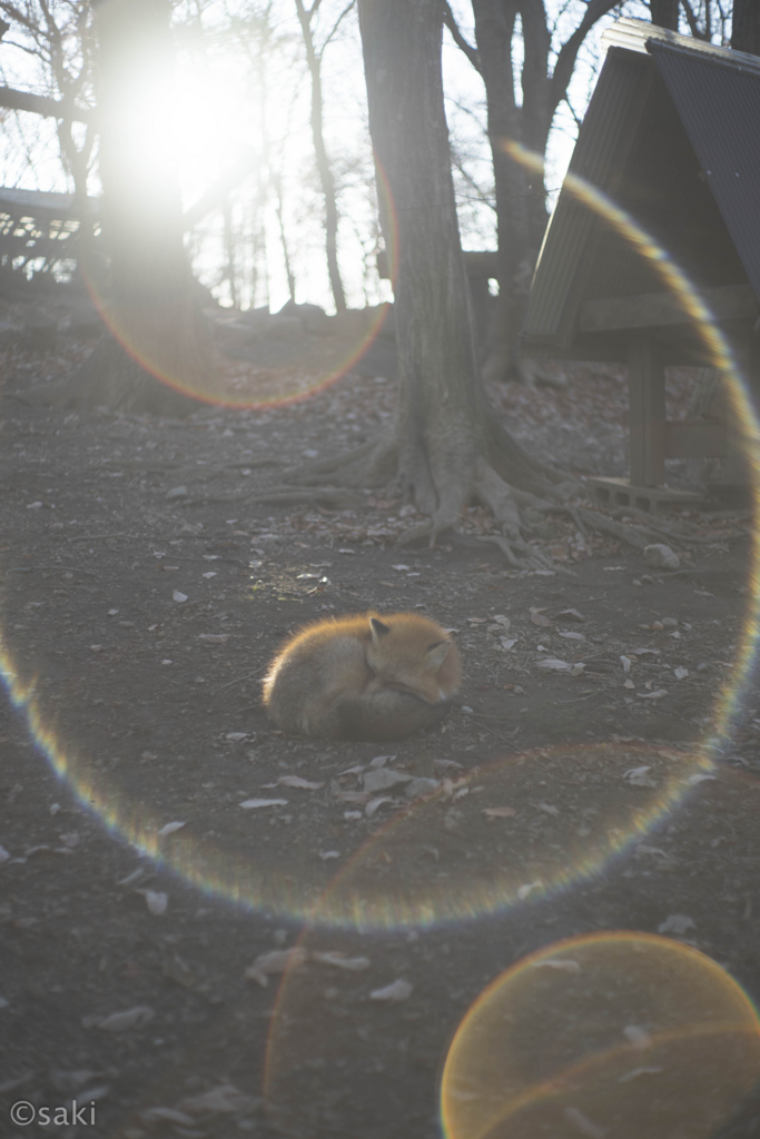 f:id:asahaka1:20171222231228j:plain f:id:asahaka1:20171222231228j:plain