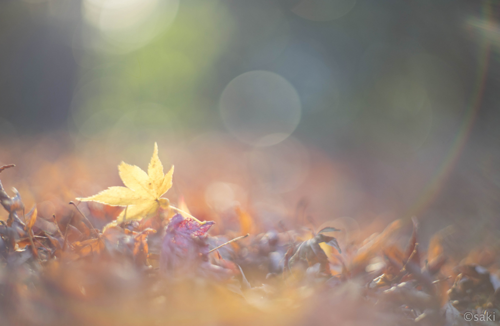 f:id:asahaka1:20171222235036j:plain f:id:asahaka1:20171222235036j:plain