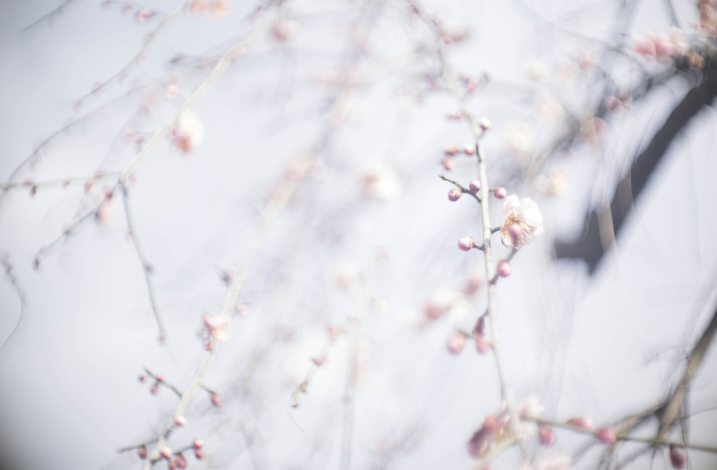 f:id:asahaka1:20190103223309j:plain f:id:asahaka1:20190103223309j:plain
