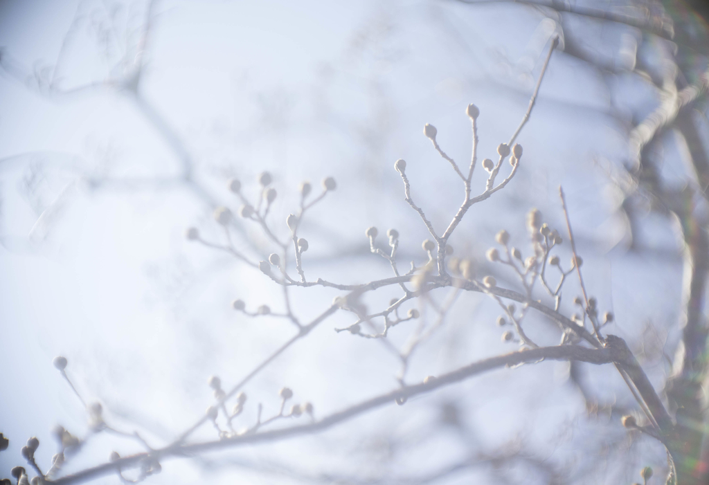 f:id:asahaka1:20190103223320j:plain f:id:asahaka1:20190103223320j:plain