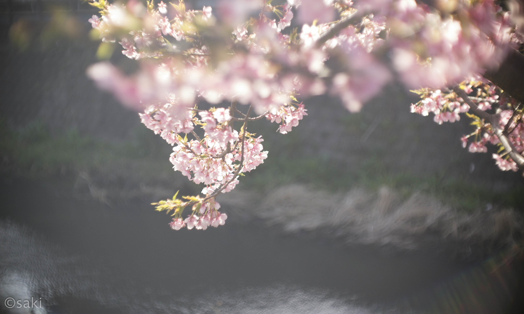 f:id:asahaka1:20190103223350j:plain f:id:asahaka1:20190103223350j:plain