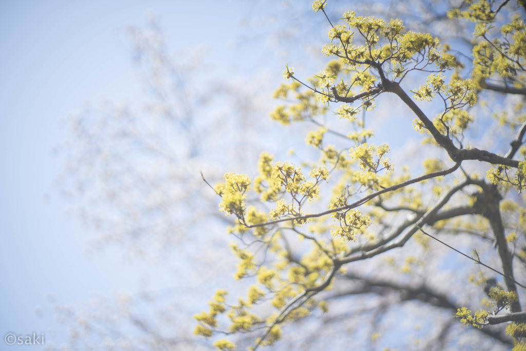 f:id:asahaka1:20190103223412j:plain f:id:asahaka1:20190103223412j:plain