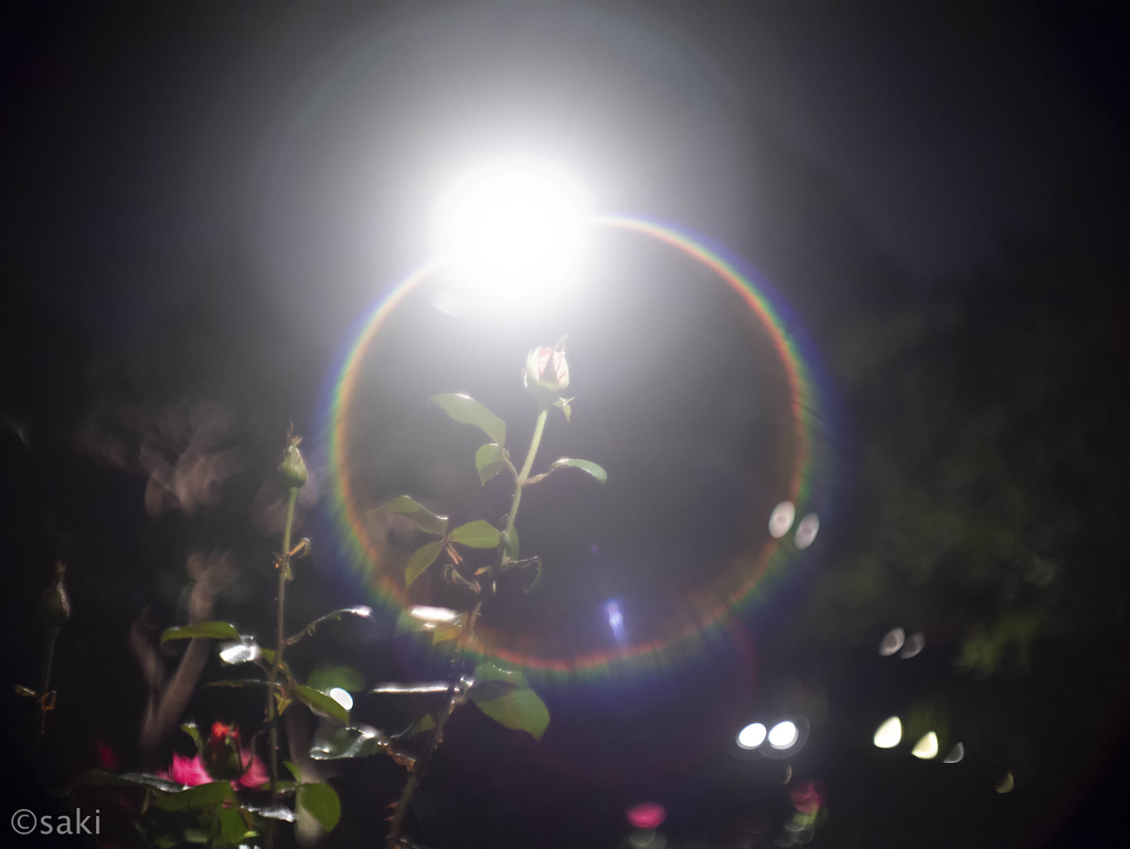 f:id:asahaka1:20190103223440j:plain f:id:asahaka1:20190103223440j:plain