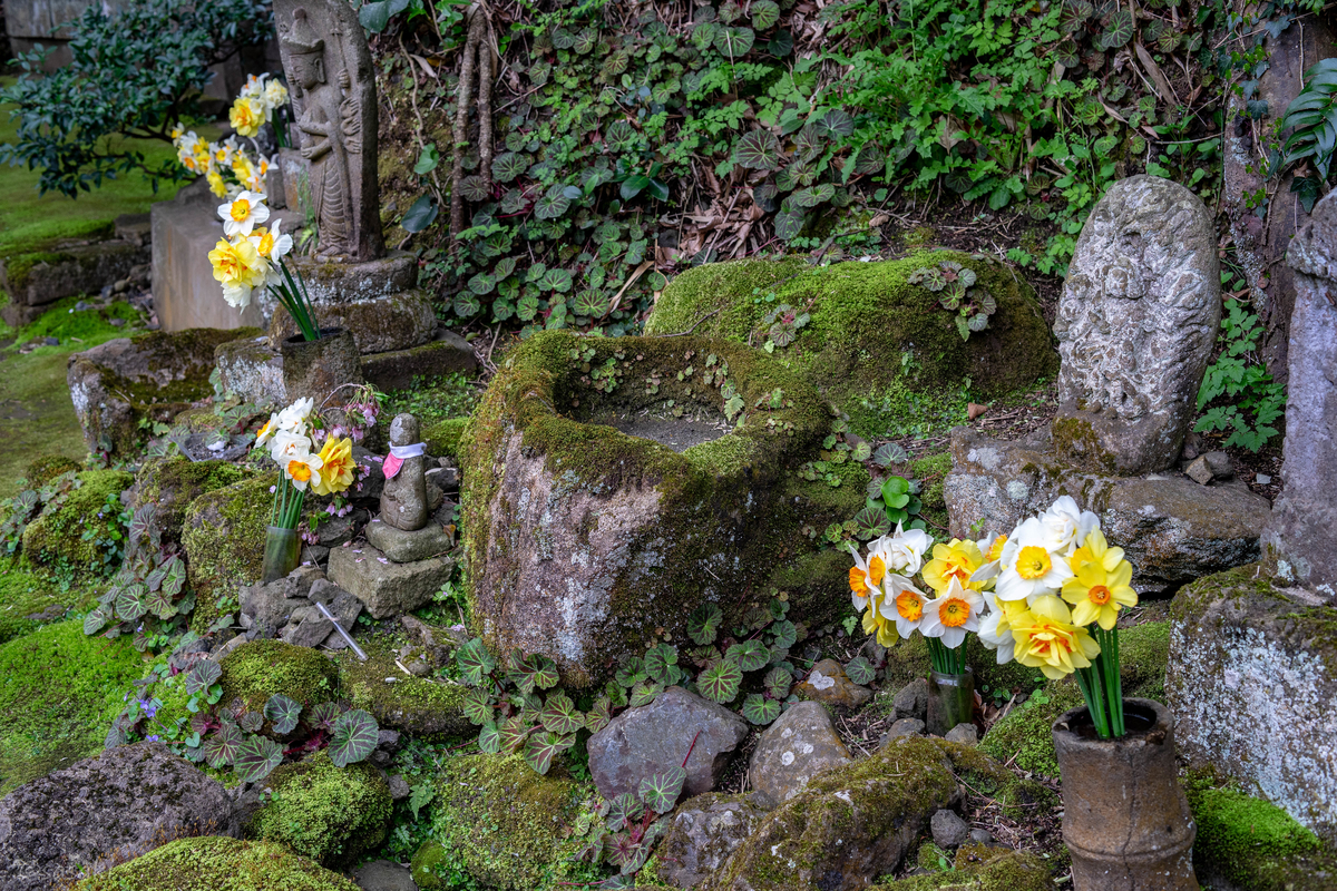 f:id:asahaka1:20190429210700j:plain f:id:asahaka1:20190429210700j:plain