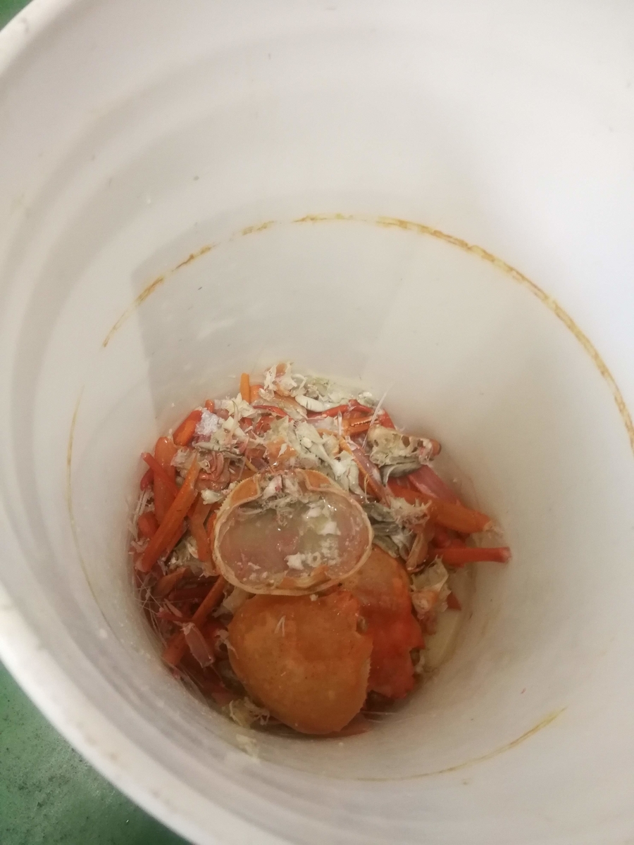 f:id:asahaka1:20190429212633j:plain f:id:asahaka1:20190429212633j:plain