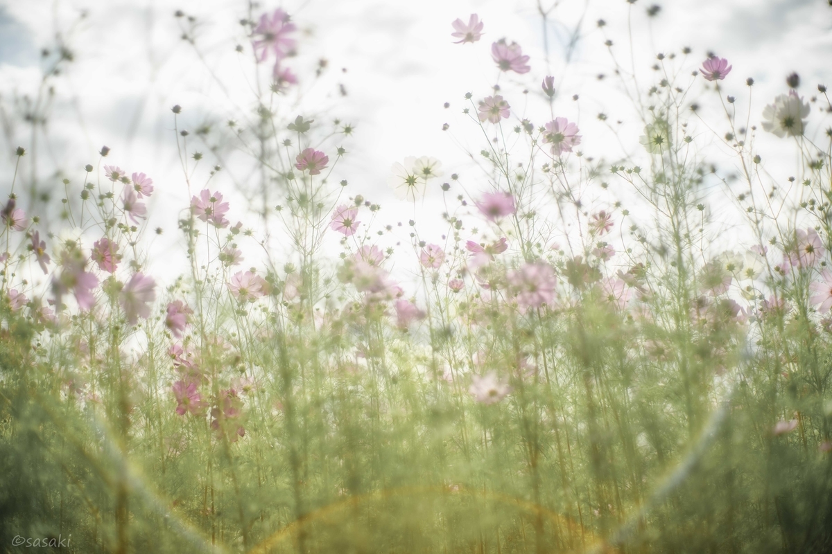 f:id:asahaka1:20201006174634j:plain