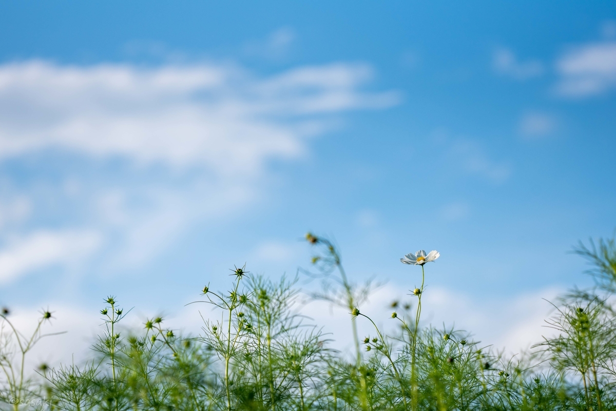 f:id:asahaka1:20201006174644j:plain