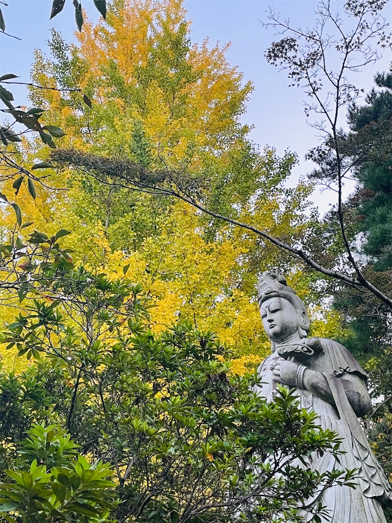 f:id:asahaka1:20221031234619j:image