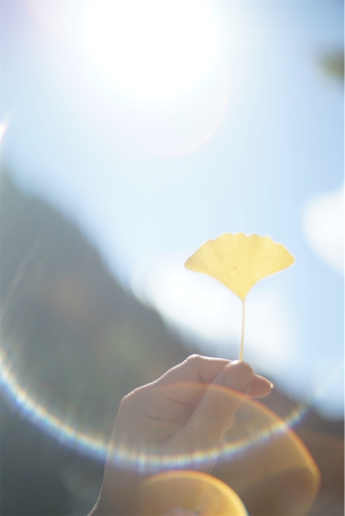 f:id:asahaka1:20221107235618j:image