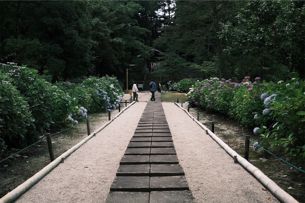 f:id:asahaka1:20230614235046j:image