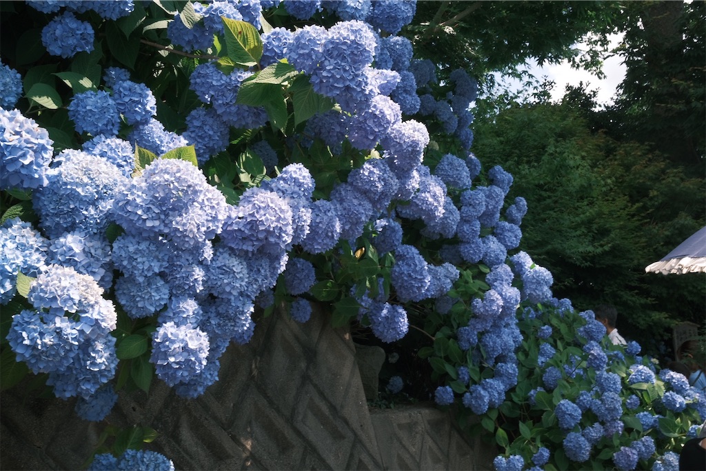 f:id:asahaka1:20230704012201j:image