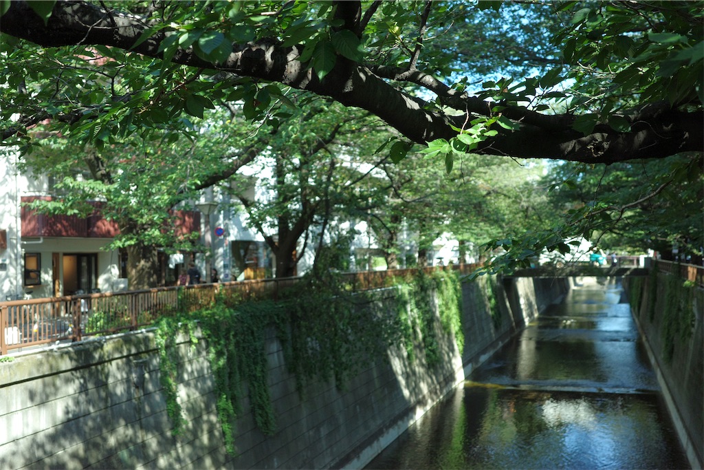 f:id:asahaka1:20230812231452j:image