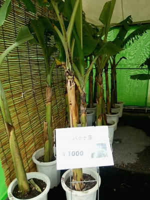 20141220_food11.jpg